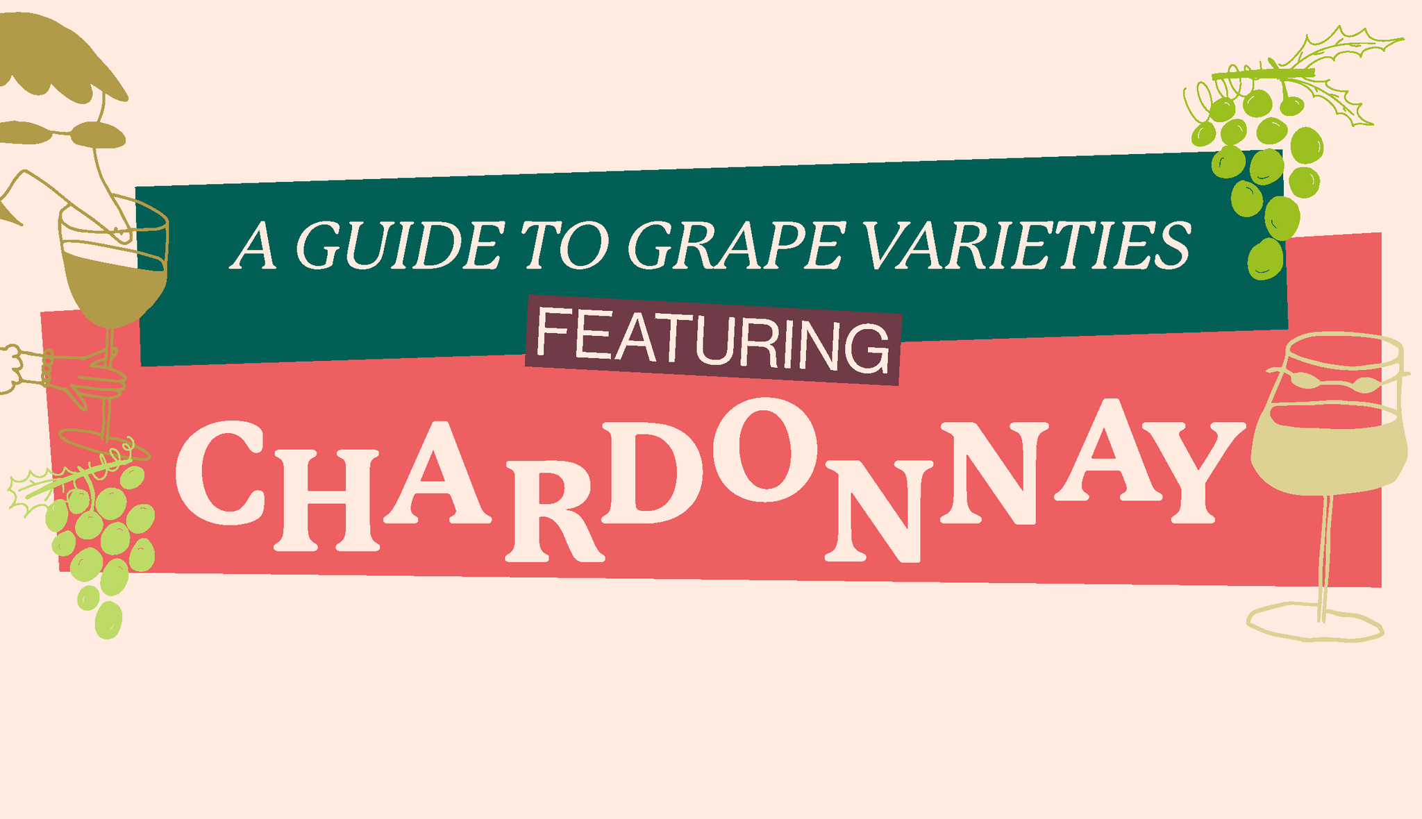 A Beginner's Guide To Chardonnay